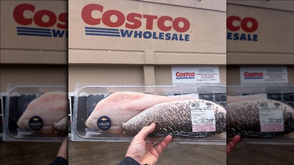 Hand holding a barramundi filet