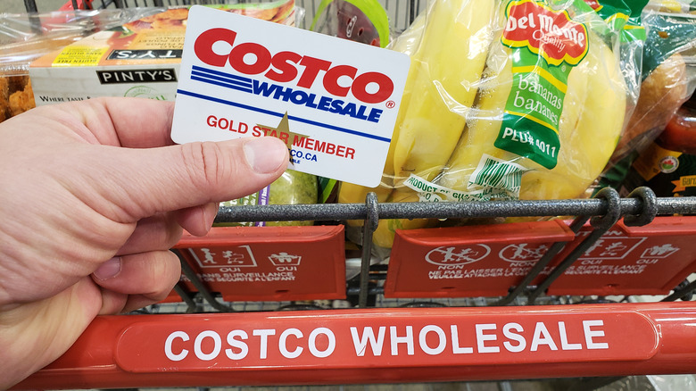 Hand holding Costco membership card