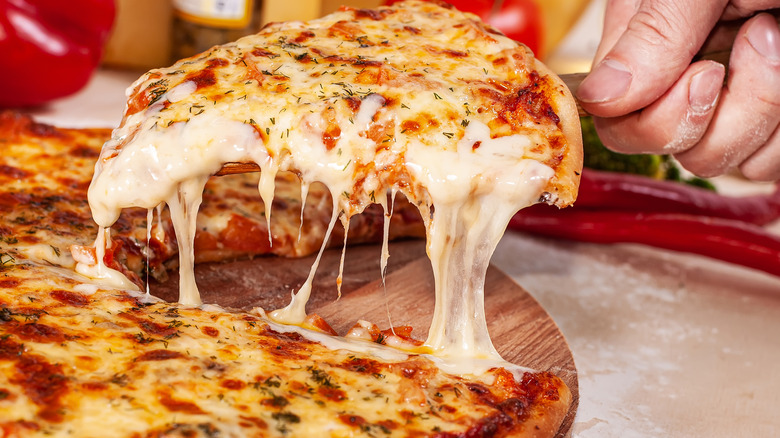 a cheese pizza