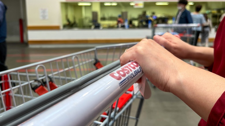 hands pushing costco cart