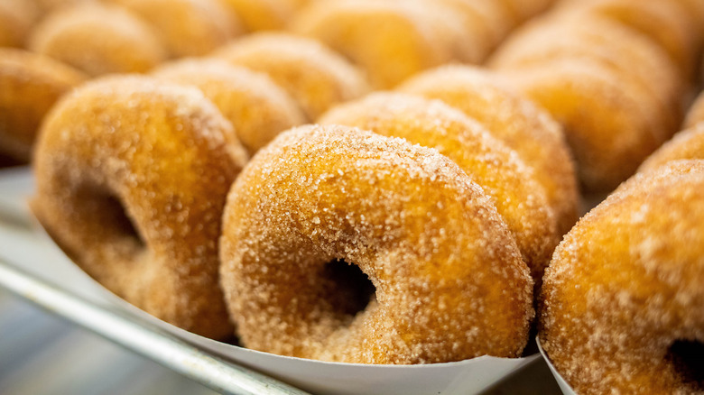 Row of apple cider donuts