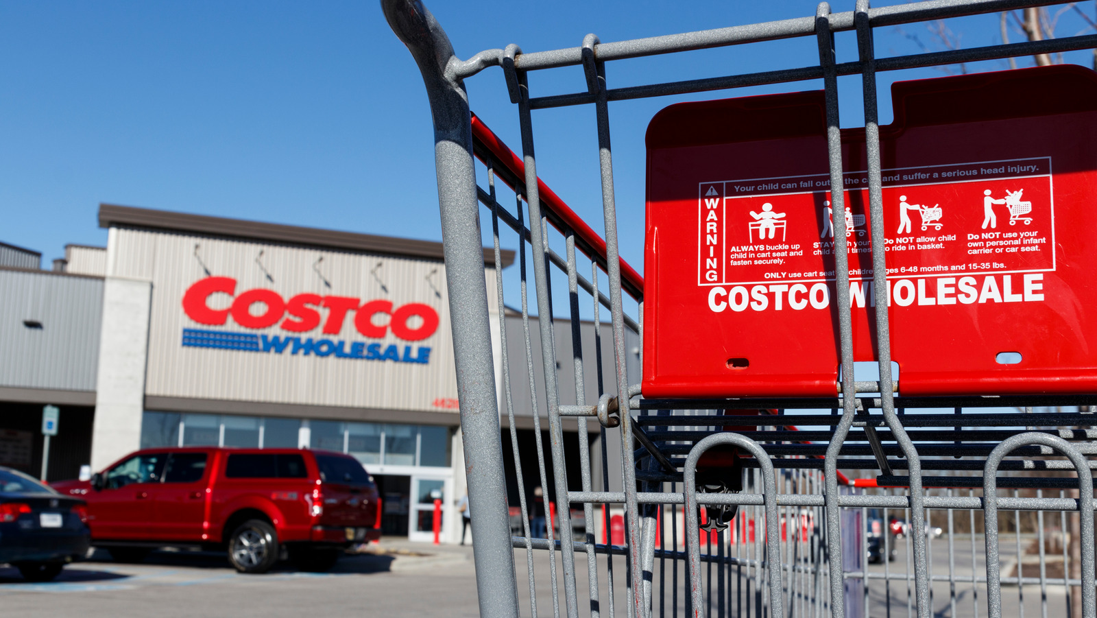 costco-s-hilarious-new-dog-toys-are-bigger-than-ever