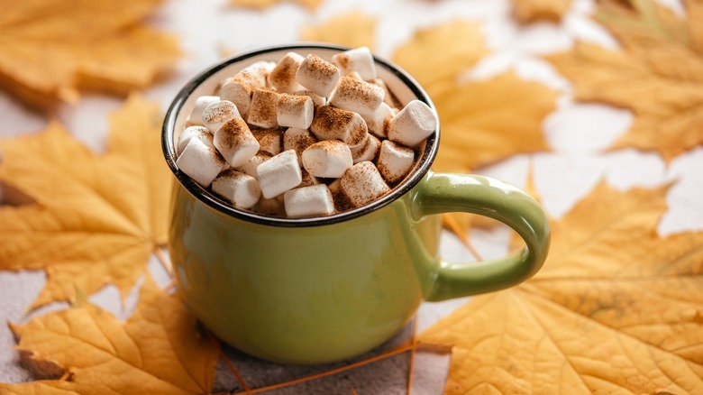 Hot chocolate with autumn leaves