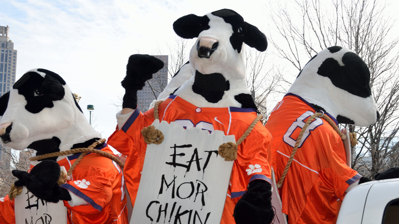 Chick-fil-A cows