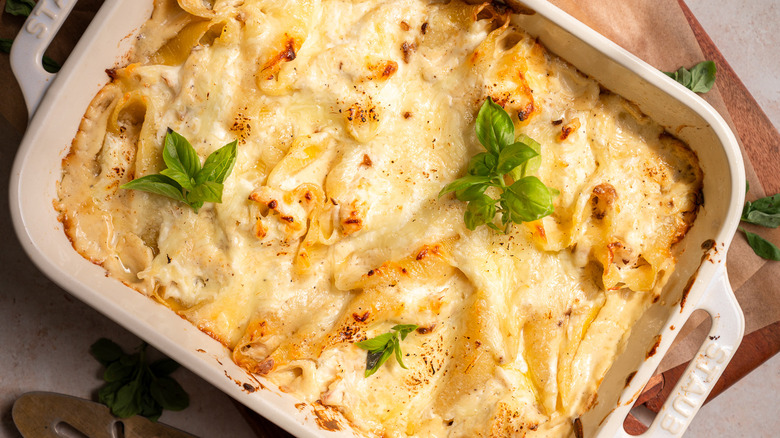 creamy shell pasta bake