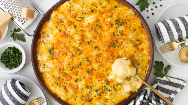 cheese-topped potato casserole in a round pan