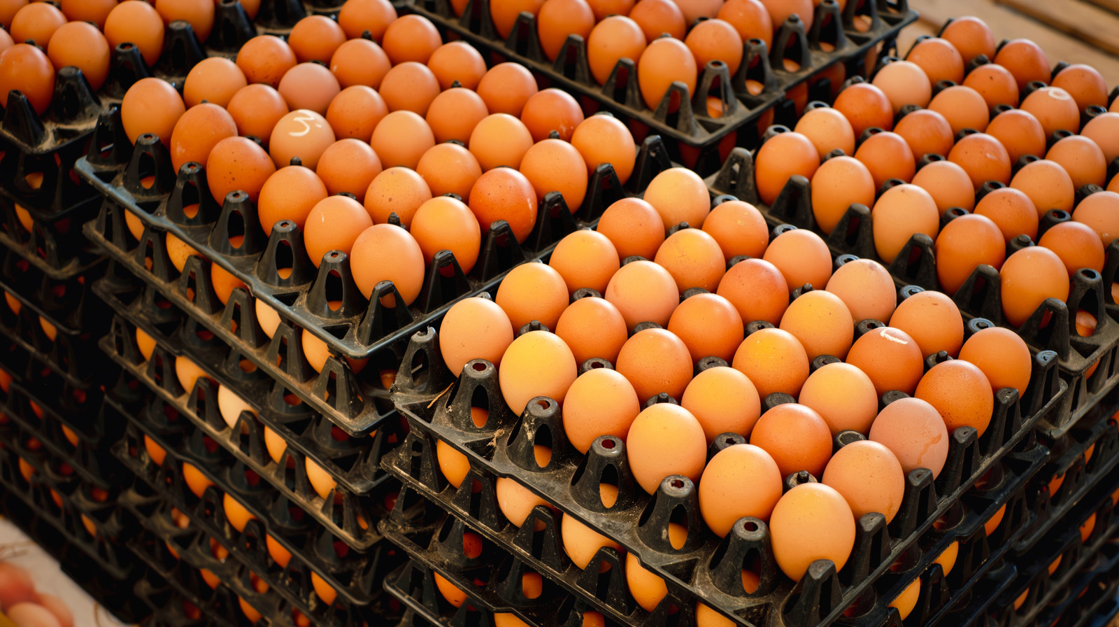 Criminals Hatch A Plan: 100K Eggs Stolen From Truck In PA
