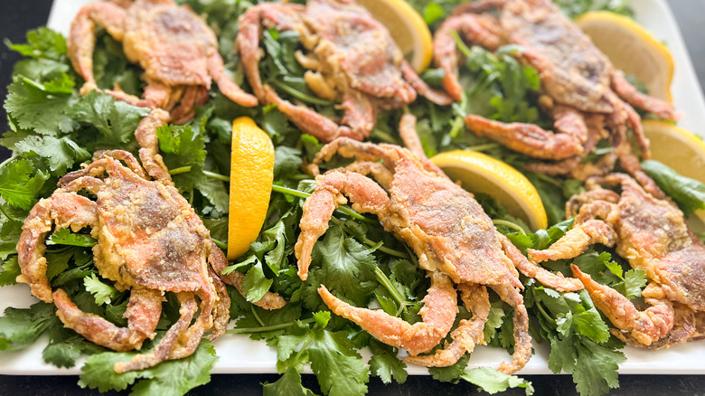 fried soft shell crabs