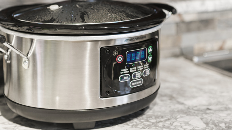 Slow cooker on counter