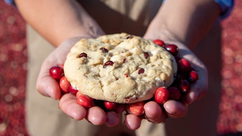 Hands holding cranberry and white chocolate chip cookie 