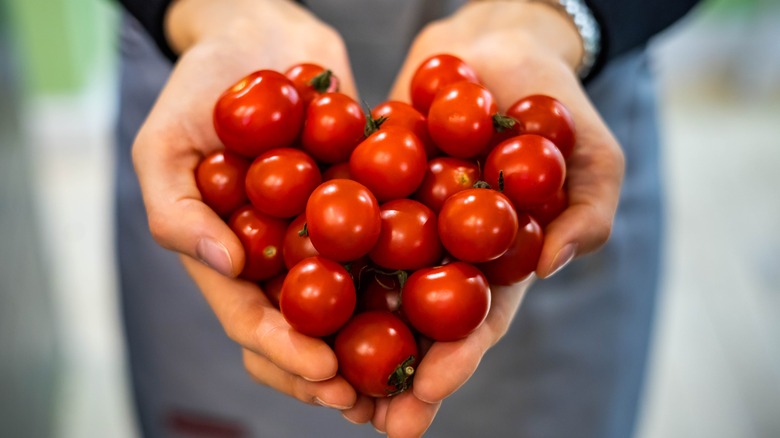 cherry tomatoes in heart shape in hands