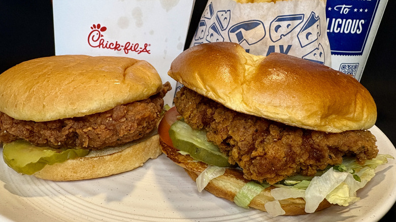 Culver's and Chick-fil-A Spicy Chicken sandwiches on plate with fries in background
