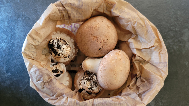 Brown mushrooms in a paper bag