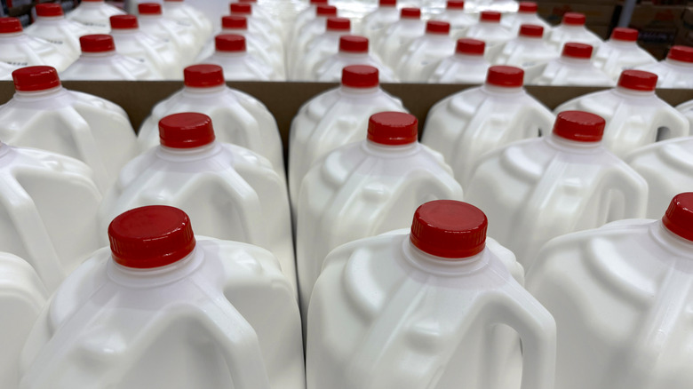 gallons of milk