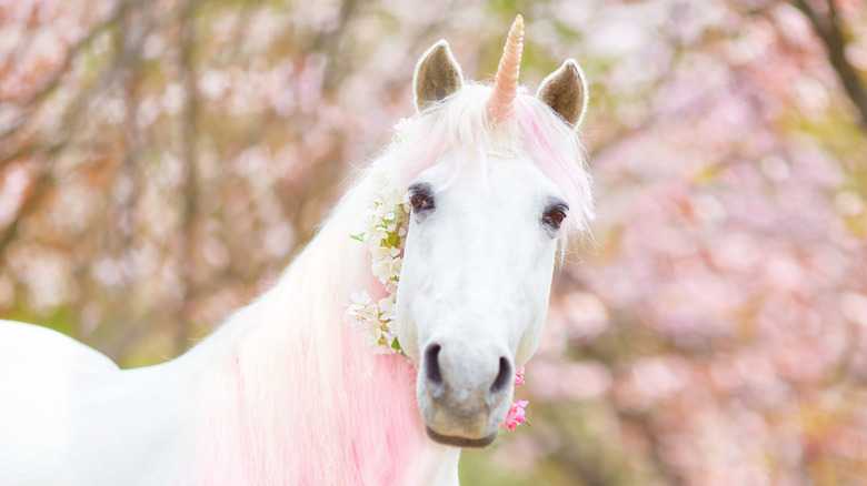 pink unicorn