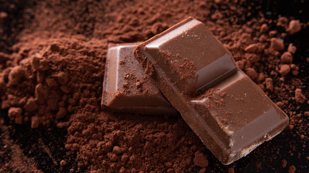 Chocolate on cocoa powder background