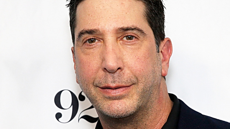 David Schwimmer slightly smiling