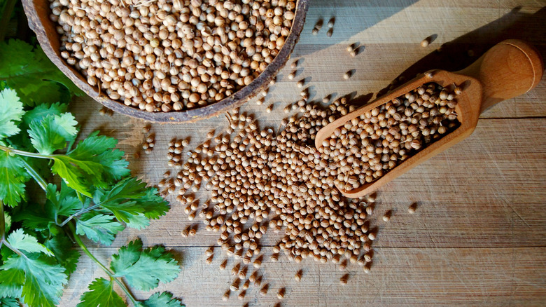 Coriander seeds on a wooden surface