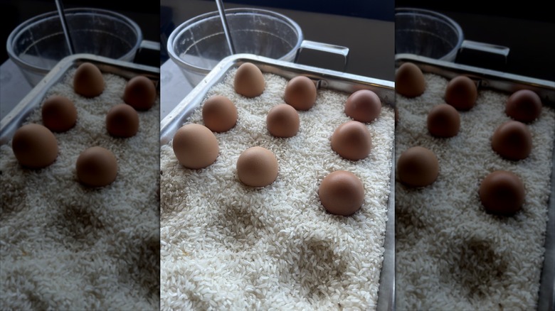 9 eggs nestled on top of a pan of uncooked white rice