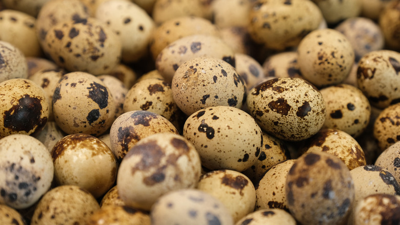 Assortment of quail eggs