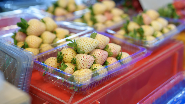 White strawberries in plastic containers
