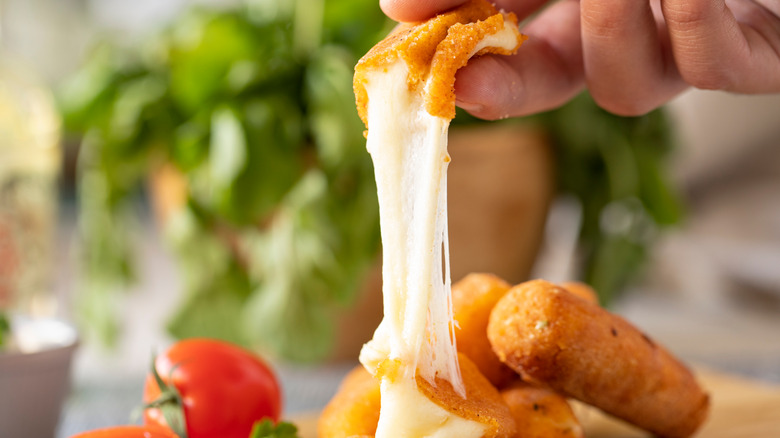 Person's hand pulling mozzarella stick with tomato and plant in background 