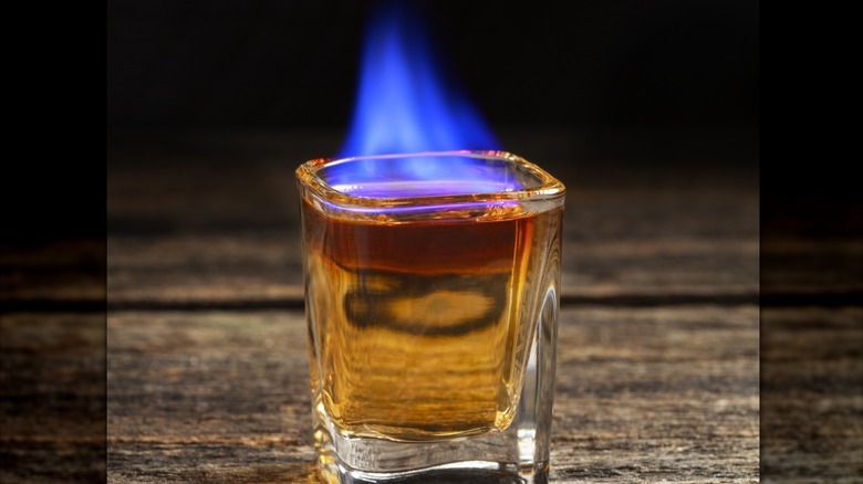 Bush Pig shot on fire with blue flame