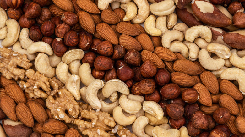 Assorted nuts arranged in rows