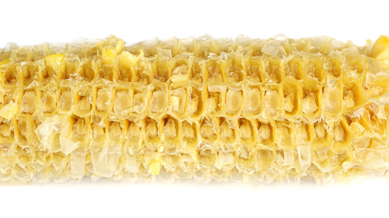 empty corn cob