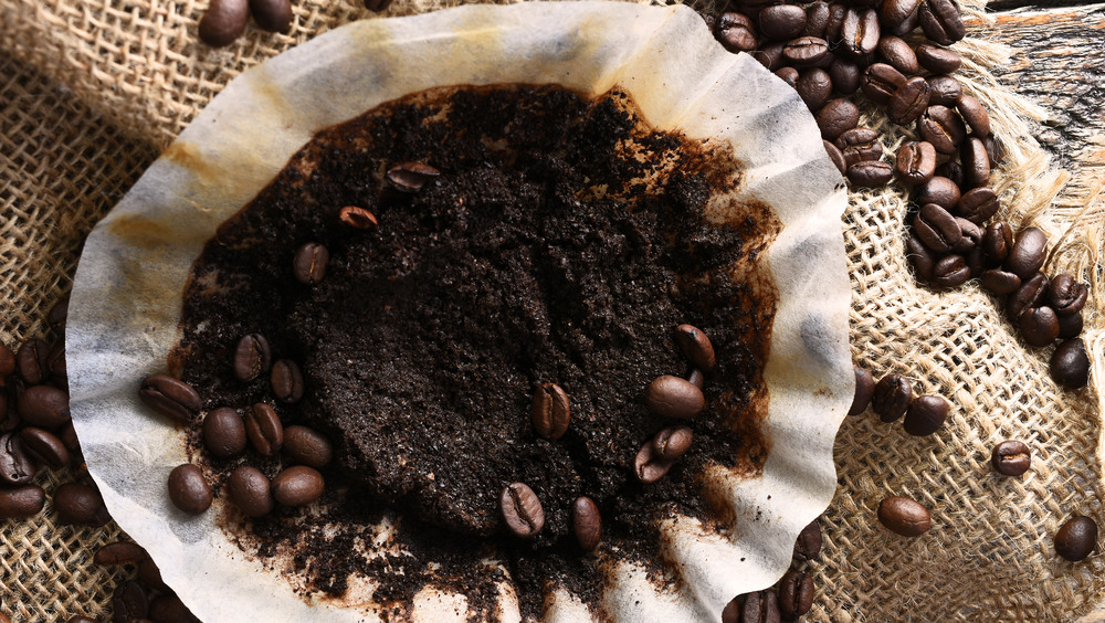 Coffee filter with grounds and whole beans