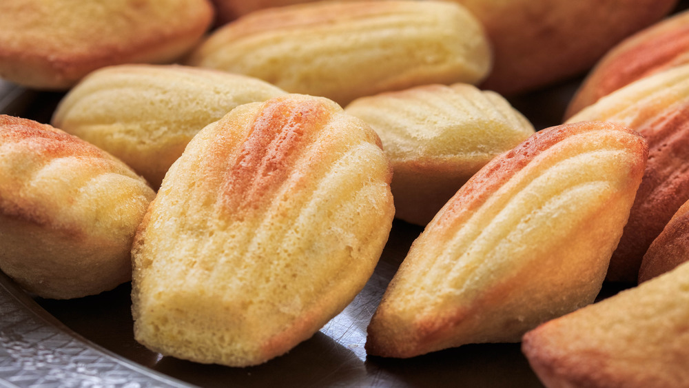 Freshly baked madeleines