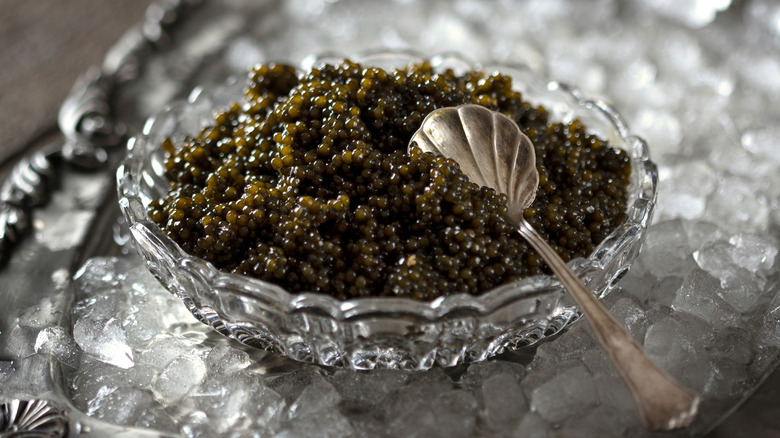 Black caviar in a glass bowl with a metal shell-shaped spoon on ice in a metal tray