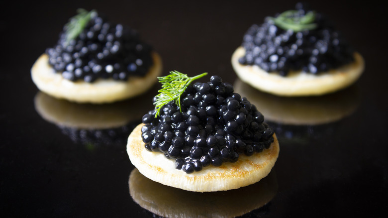 Black caviar on pastry with fresh dill on a black background