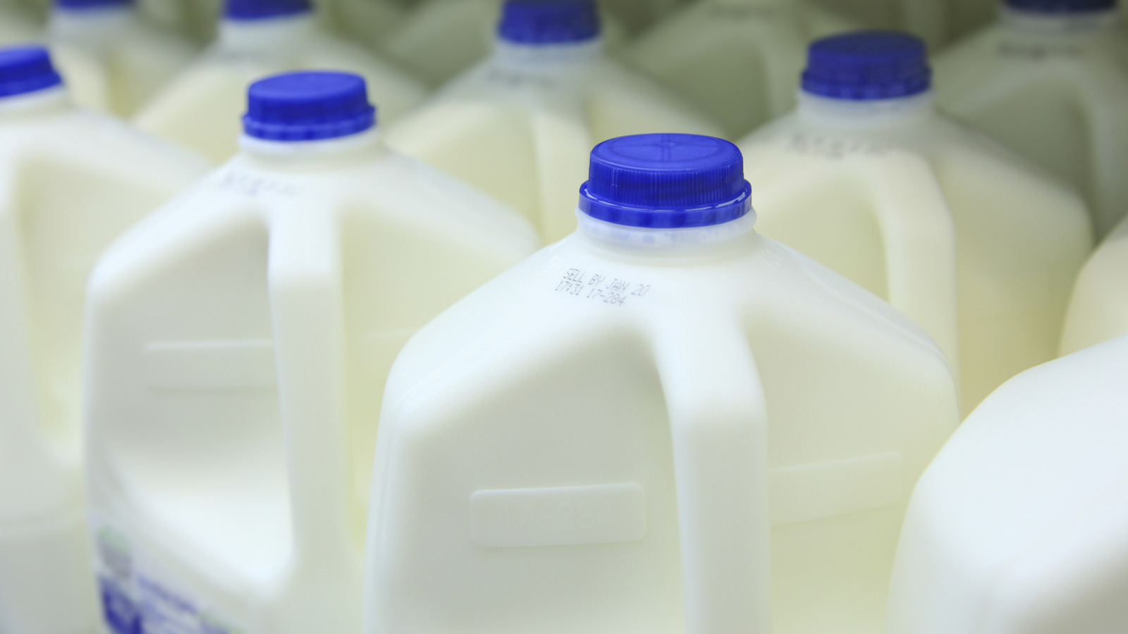 Does Costco Sell Individual Gallons Of Milk?