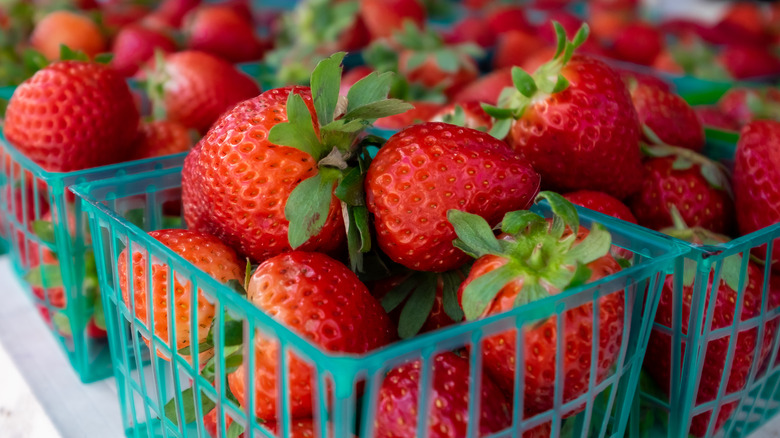 containers of ripe strawberries