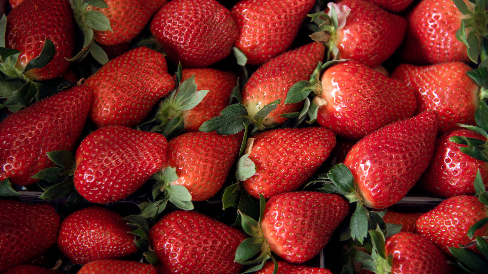 Testing out the mason jar method of keeping strawberries fresh #fruith, How To Store Strawberries