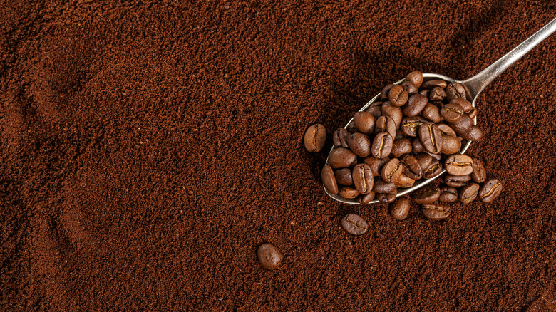 Coffee grounds with a spoon of coffee beans