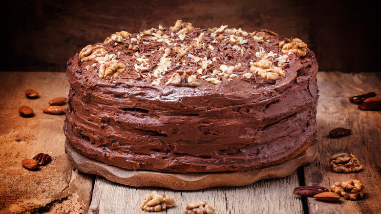 Homemade chocolate cake with walnuts