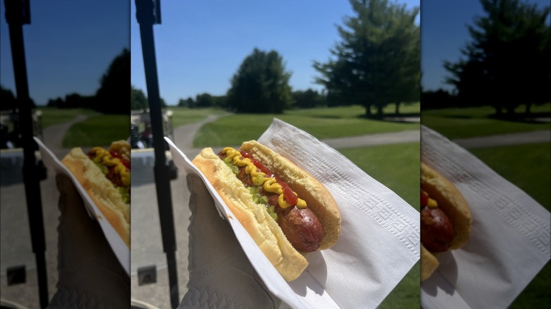 Gloved hand holding a hot dog on the golf course
