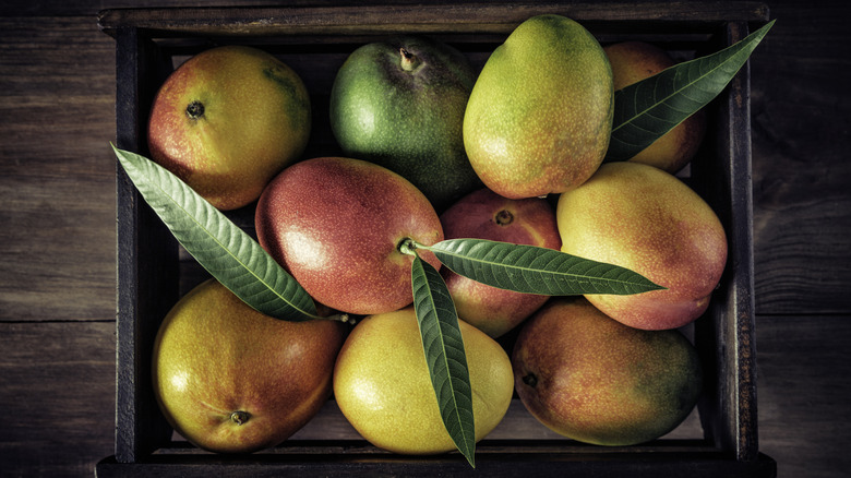A variety of different colored mangoes with leaves in a wooden box seen from above
