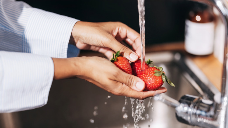 Person holds strawberries under running water in a sink.
