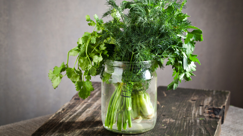 herbs stored in a jar