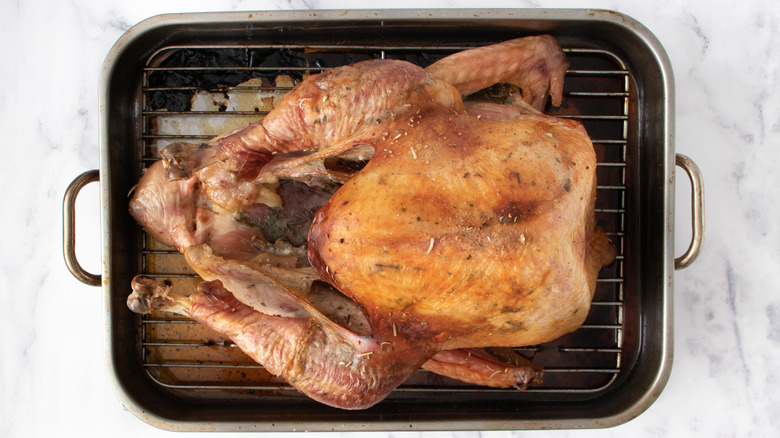 golden roasted brined turkey