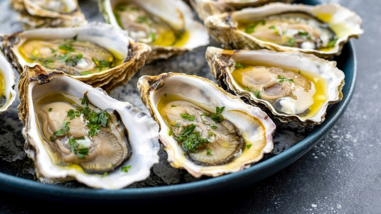 Oysters on the half shell on ice in a bowl with green herb garnish.