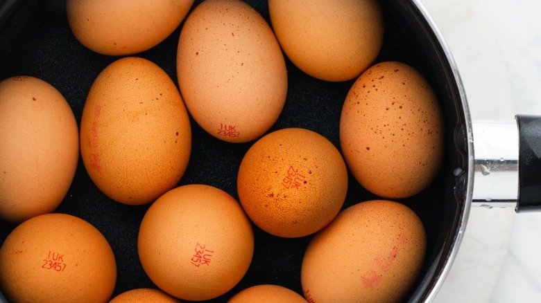 boiling eggs