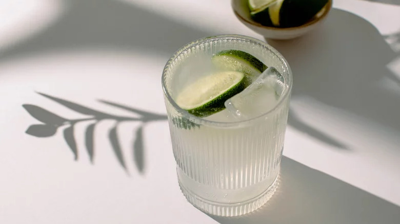 cocktail with ice and cucumber