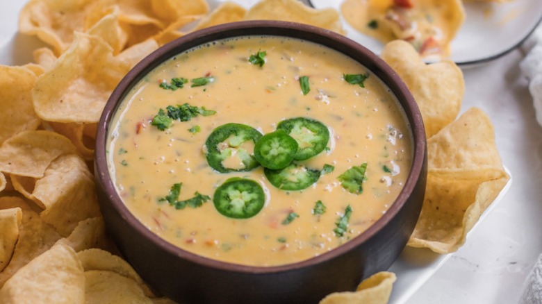 homemade queso with tortilla chips