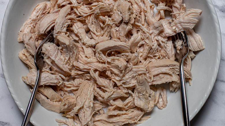 pulled chicken plate 