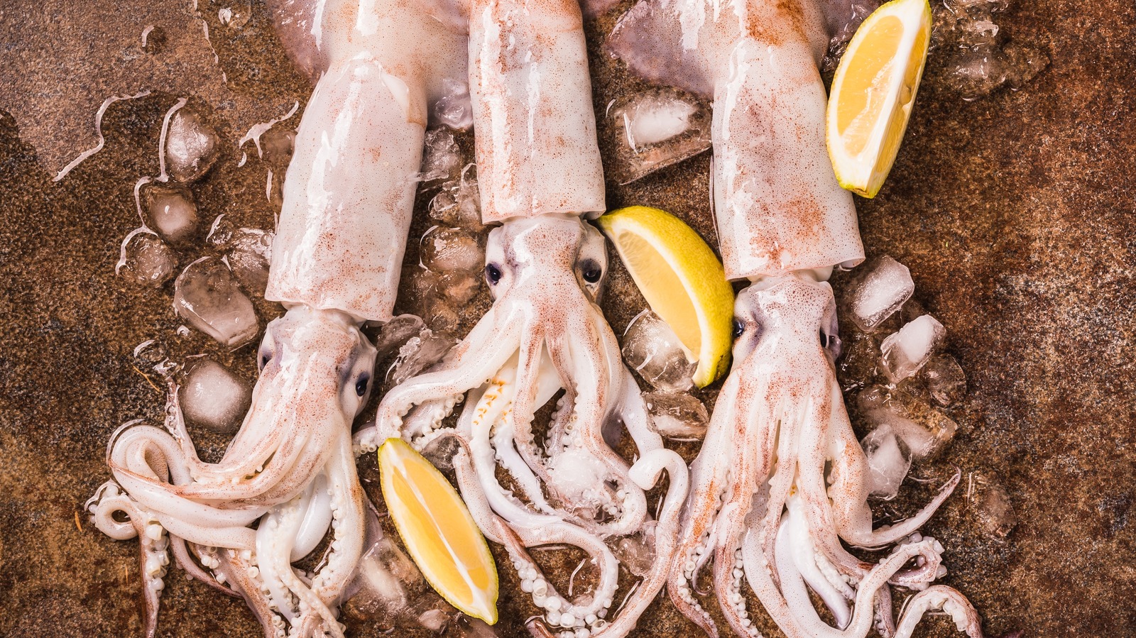Easy Squid Substitutes You Should Know About