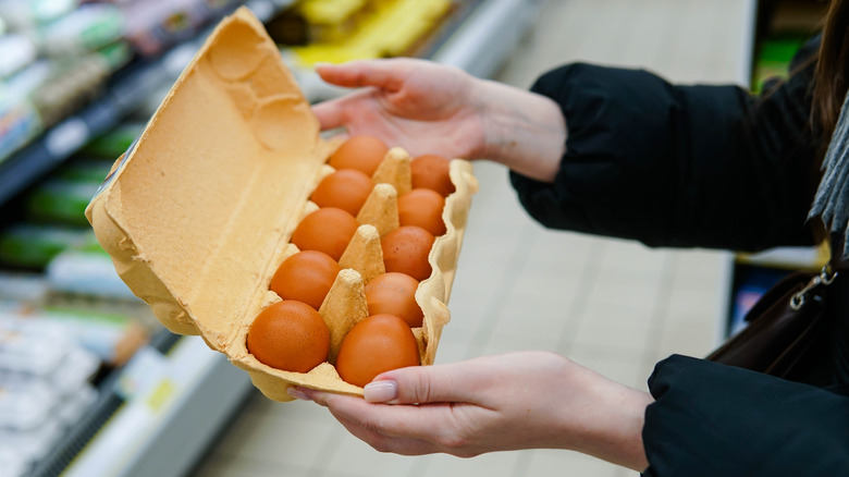 person inspecting eggs